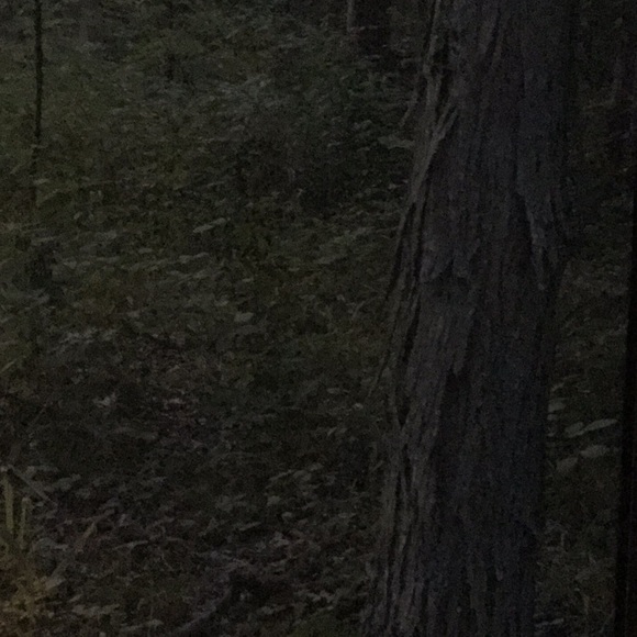 Meet your Posher, Anna - Picture 1 of 1